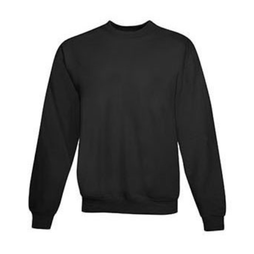P160 Hanes EcoSmart Sweatshirt
