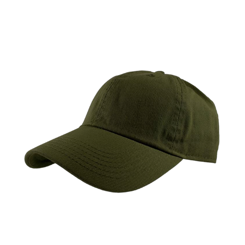 Dad Hat - Olive