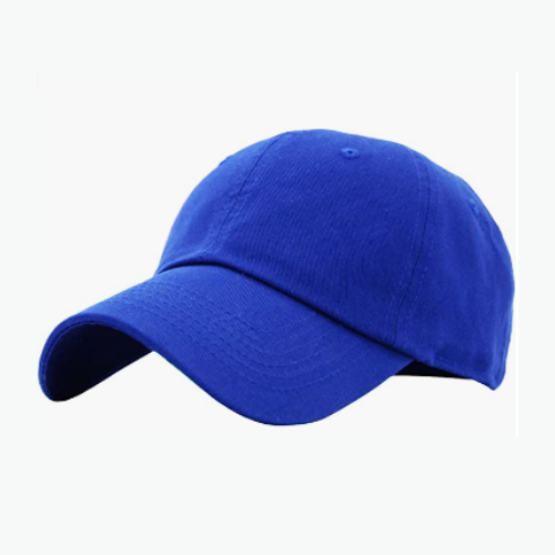 Dad Hat - Royal