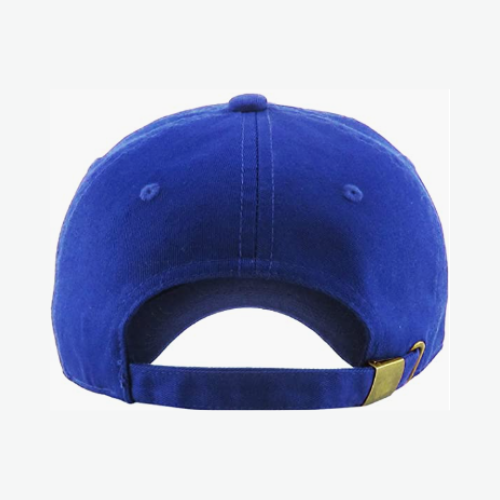 Dad Hat - Royal