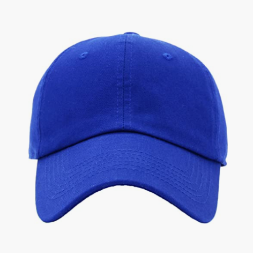 Dad Hat - Royal